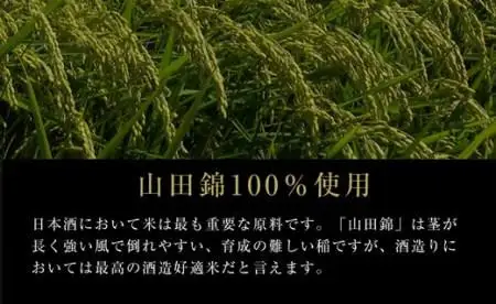 【黄桜】SUPER PREMIUM純米大吟醸750ml | 日本酒 人気 純米大吟醸
