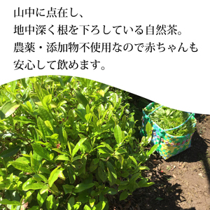 海部いはら番茶 リーフ 30g×3袋  からだにやさしいお茶