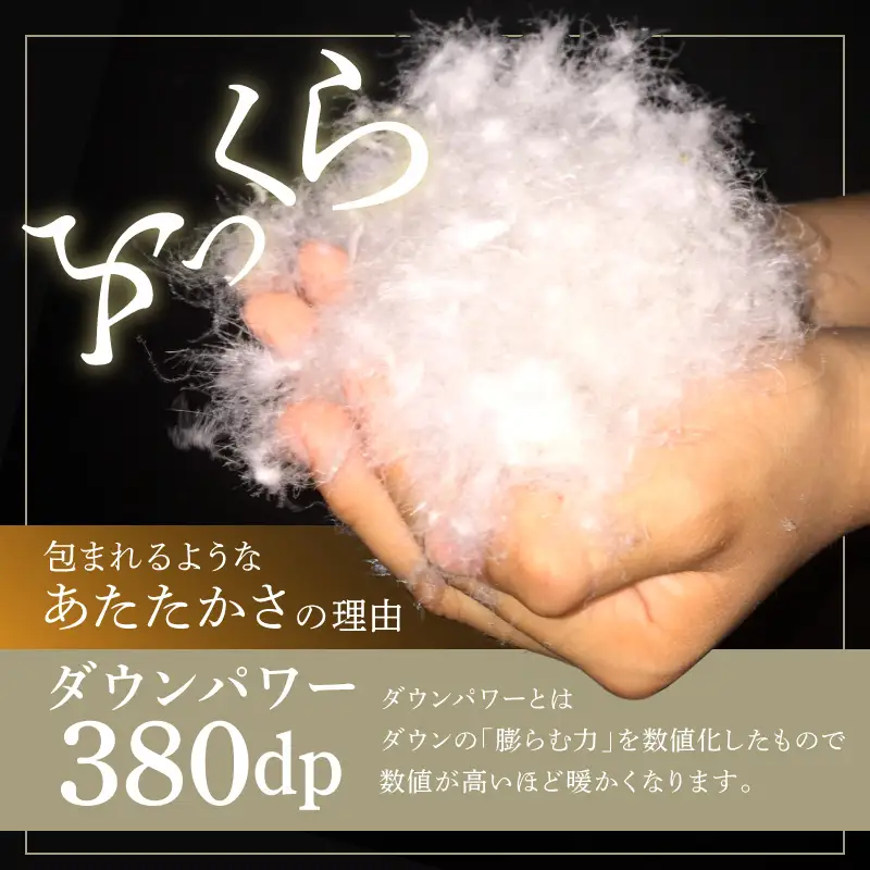 羽毛布団 1枚 ポーランド産グース贅沢仕様 シングル 150cm×210cm アイボリー
