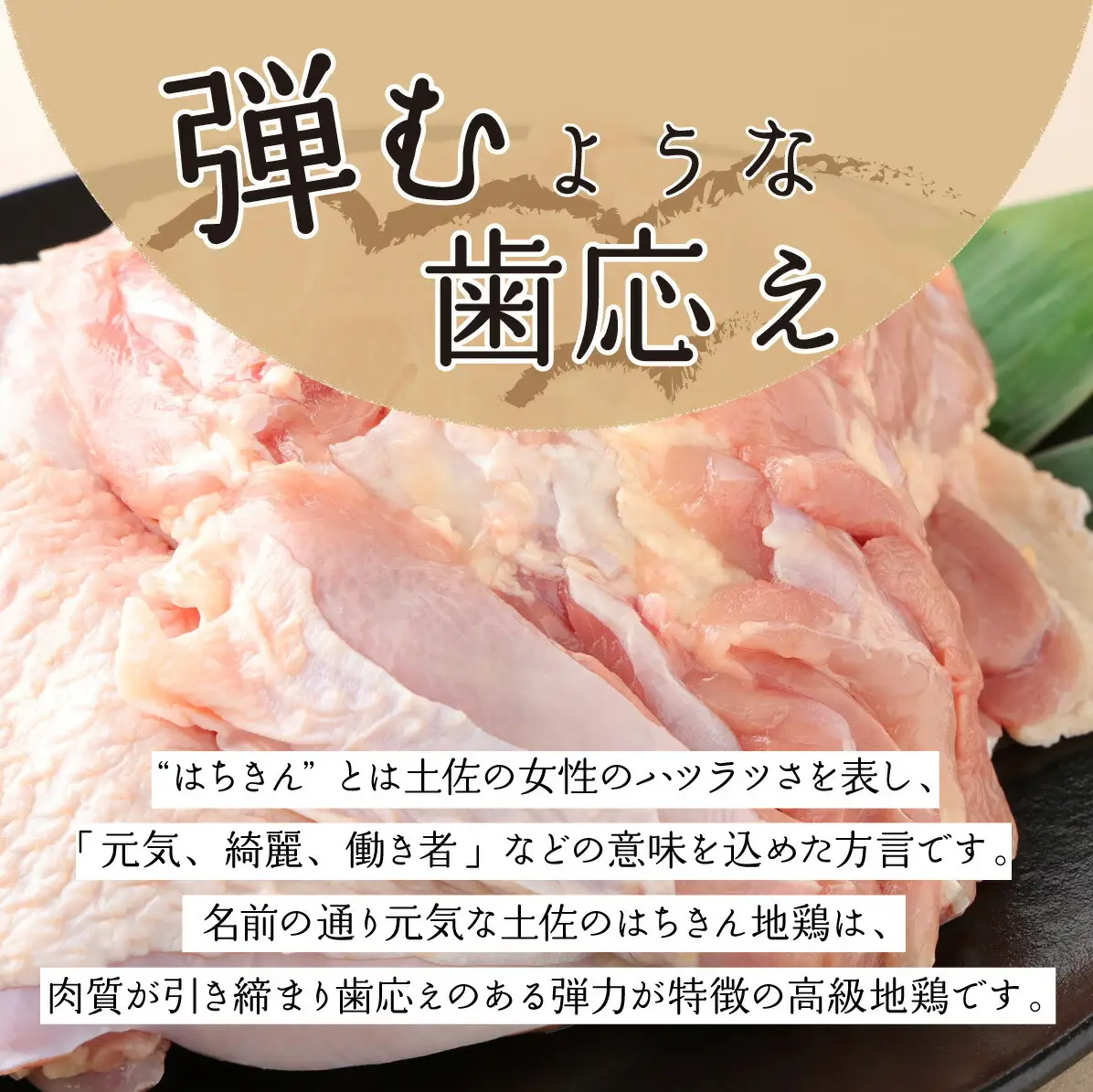 土佐はちきん地鶏の鶏しゃぶ＆鶏鍋堪能セット