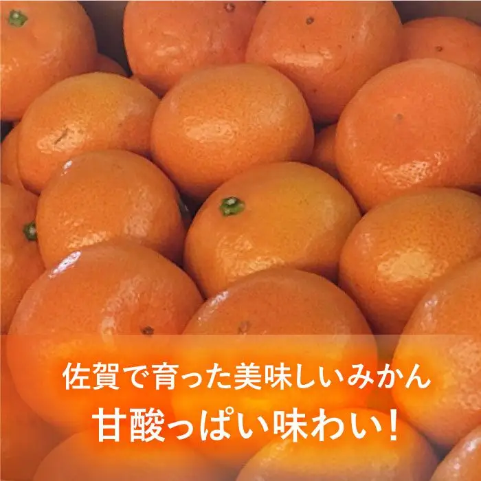 【先行予約・26年10月以降順次発送】 佐賀県産 中生みかん 5kg |みかん ミカン 蜜柑 フルーツ ふるーつ 果物 くだもの| 吉野ヶ里町/リエンサーク [FCC010]
