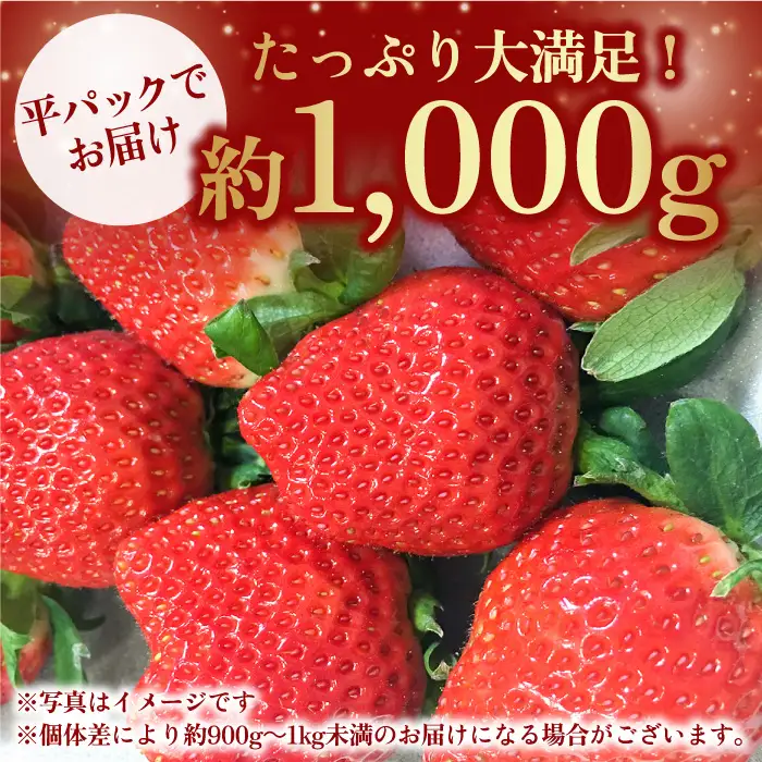 【先行予約・27年1月以降順次発送】いちごさん 平パック×4P 約1kg |いちご イチゴ 佐賀県産 佐賀県 佐賀 パック 吉野ヶ里町/リエンサーク [FCC003]