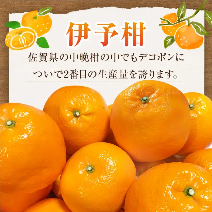 【先行予約・27年1月以降順次発送】佐賀県産 みかん 「伊予柑（いよかん）」 5kg |蜜柑 ミカン みかん| 吉野ヶ里町/リエンサーク [FCC008]