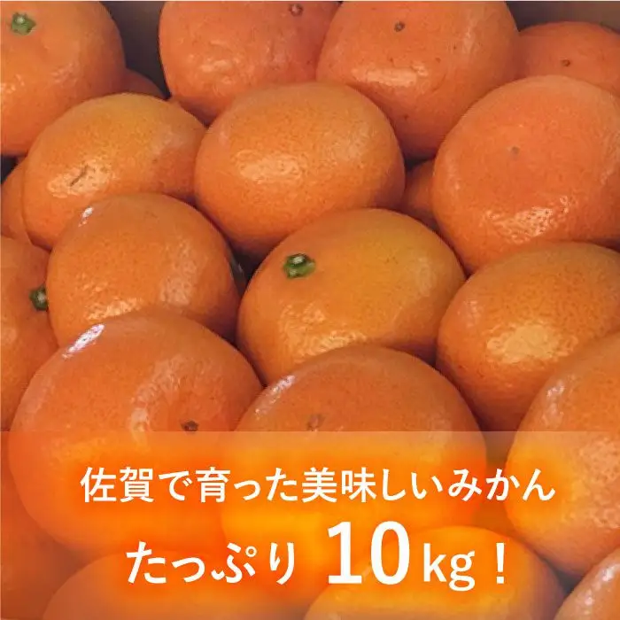 【先行予約・26年10月以降順次発送】佐賀県産 中生みかん 10kg 吉野ヶ里町/リエンサーク [FCC009]