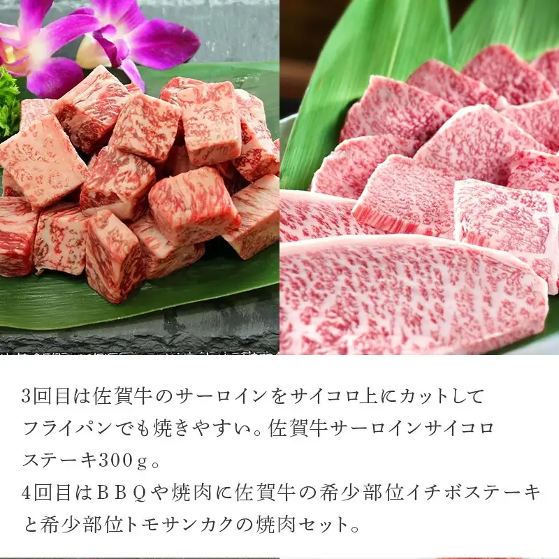 「定期便全6回」 佐賀牛 お試し定期便 寄附翌月から発送 (合計2.84kg)