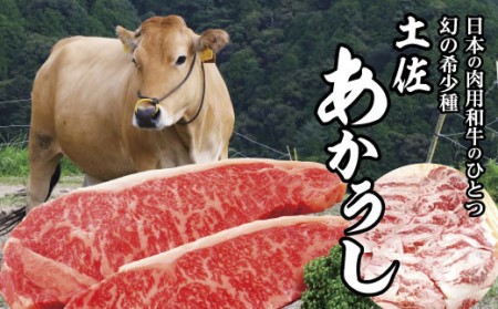 土佐あかうし サーロインステーキとスライスセット