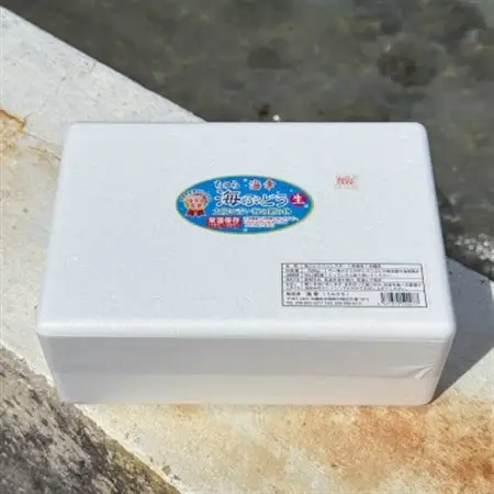 【沖縄から産地直送】県産海ぶどう品評会最優秀賞受賞!ちゅら海ぶどう2kg(500g×4箱)【1674924】