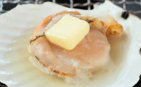 噴火湾産冷凍ほたて片貝4袋（40枚入）のセット＜海鮮問屋　株式会社　瑞宝＞ 森町 ほたて 帆立 ホタテ 海産物 魚貝類 ふるさと納税 北海道 mr1-0141
