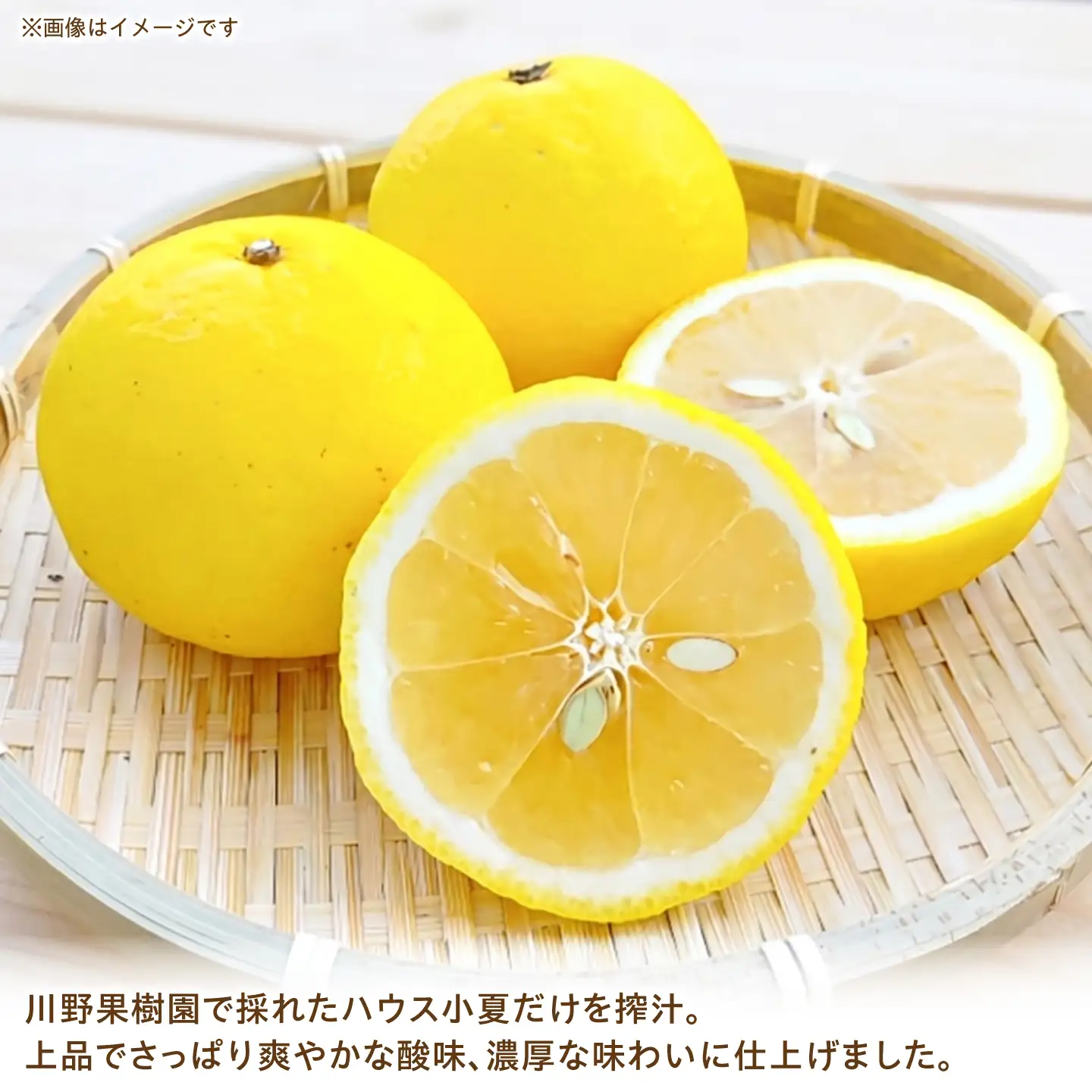 高知県 土佐市産 KONATSU JUICE KJ 100％ 500ml (1本) 高知県 土佐市【川野果樹園】 [BQCB002]
