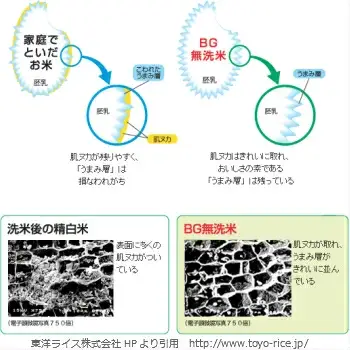 BG無洗米コシヒカリ 5kg×3回 定期便【隔月】【令和7年産 2ヶ月に1回 配送 6ヶ月 計15kg 半年間 島根県産 愛を米 米 こしひかり 新生活応援 お試し 節水 時短 アウトドア キャンプ 東洋ライス おすすめ 島根県 安来市】【45-SS-16】