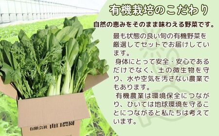 （チルド）山口農園 有機野菜 おまかせセット ／ふるさと納税 山口農園  伝統野菜 オーガニック ベジタリアン 無農薬 野菜セット  農家直送  詰め合わせ 奈良県 宇陀市 