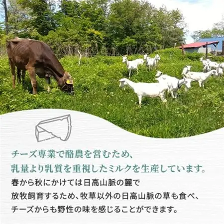 香林農園ナチュラルチーズ　牛セミハードチーズ　北海道　日高山脈の麓のチーズ農家_卵・乳製品 チーズ  _【配送不可地域：離島】【1212313】