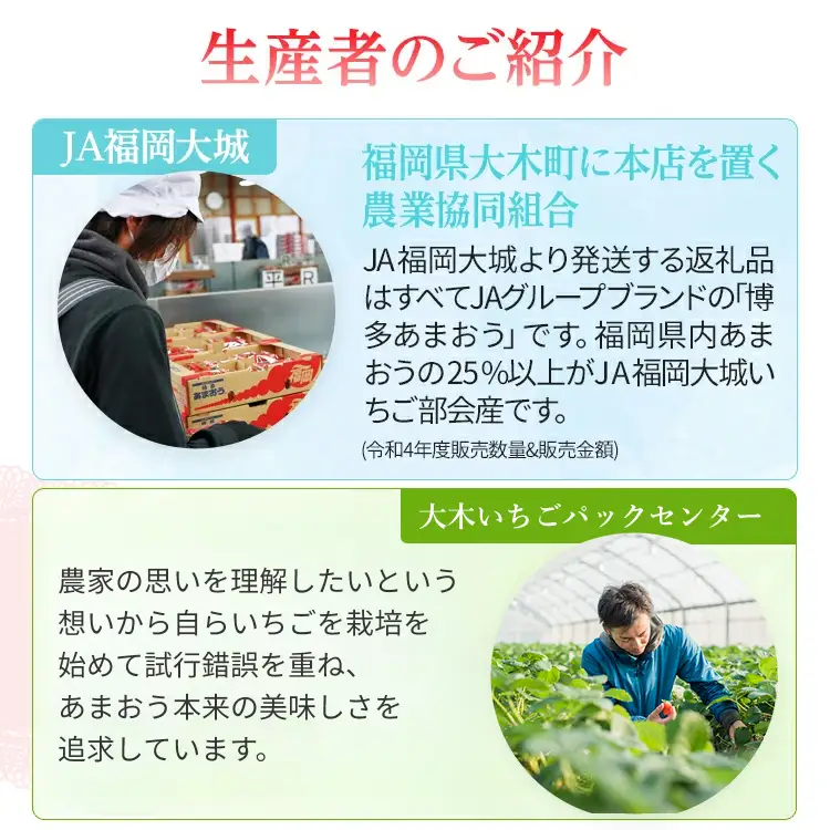 【先行予約】いちご あまおう 1000g いちご CB223