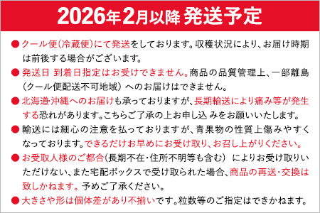 【アフター保証】先行予約 いちご あまおう 1080g（約270g×４パック）【2月上旬から順次発送】 AG010