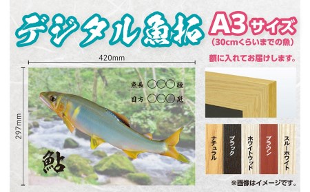 CM-020 【A3・デジタル魚拓ギフトカード】メモリアルフィッシュを釣れたてのままに。