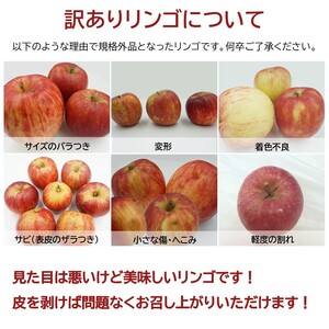 【2027年1月発送】ご家庭用訳ありリンゴ（サンふじ）約10kg_H085(R8)-3
