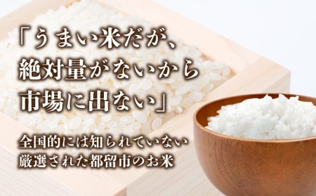 てんこもり10kg（5kg×2袋）＜都留市産＞【令和6年産】こめ　米　おコメ　お米　てんこもり