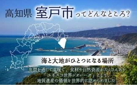 天ぷらセット さつま揚げ 天ぷら  室戸市 