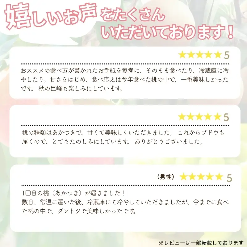 福島のフルーツ２種定期便（もも・ぶどう）【2027年発送】No.2034 