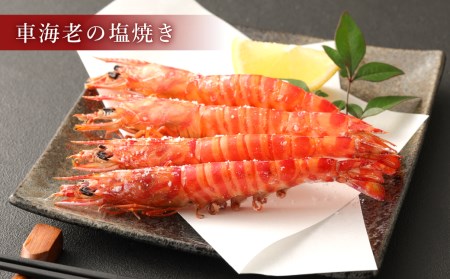 原点の車海老 ｢急速冷凍｣ 600g (18～24尾) 300g×2パック 【2026年10月上旬より順次発送予定】