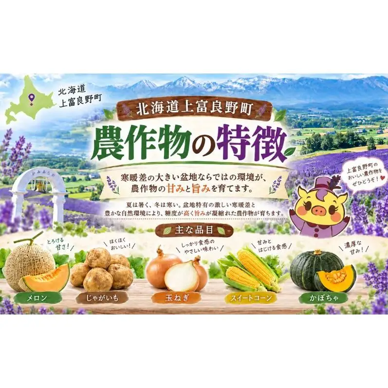 【令和8年産】じゃがいも【きたあかり】Lサイズ 約2kg≪北海道上富良野産≫ 野菜 ポテト 芋 産地直送