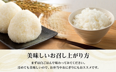 ハツシモ 米 いびいただき 精米 JAいび川 ハツシモ【計6kg(3kg×2袋)】【定期便 全3回】