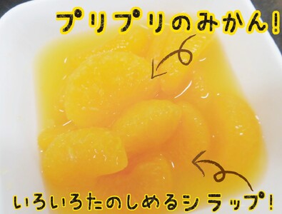 紀州のみかん缶詰（みかん果汁入りシラップ）　12缶セット【KF5】【2026年3月下旬より発送予定】【A154-frks069】