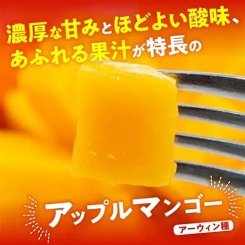 【ふるなびWEEK対象】【2026年7月から順次発送・優品】燦々マンゴー1.5kg(3～6玉)_マンゴー_【1619778】