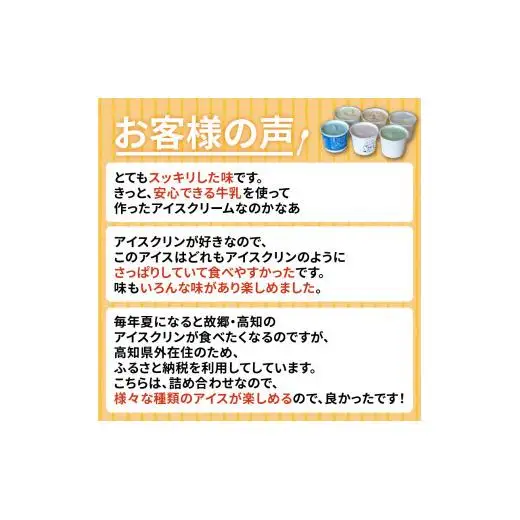 アイスクリーム12個_菓子・スイーツ アイス・ジェラート _【ME0391】