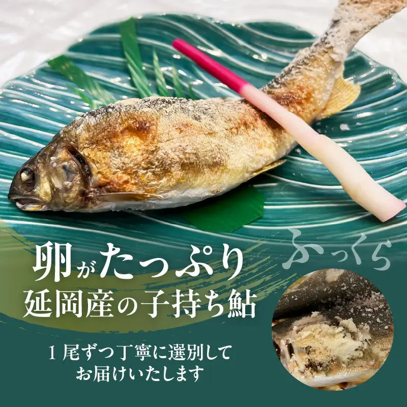 【2026年11月以降発送】【先行予約】【延岡産】小分けで便利！冷凍子持ち鮎１kg N017-YA3402