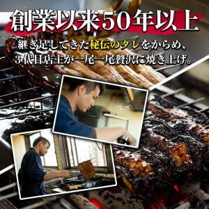 【49748】秘伝のタレ付き！大隅産うなぎ(蒲焼き3尾・白焼き1尾・肝串2本)セット！創業50年以上の老舗職人が備長炭で焼き上げた贅沢な蒲焼き！【うなぎ太郎】
