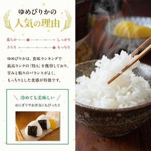ゆめぴりか 精米 赤平産ゆめぴりか【10kg(5kg×2袋)】【定期便】