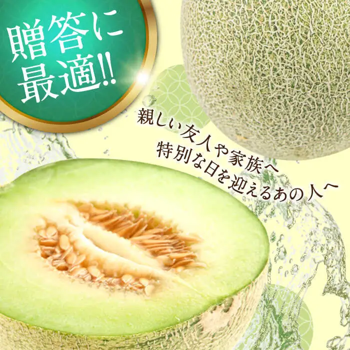 【2027年5月-発送】タカミメロン 約4.5kg [SCV013] メロン