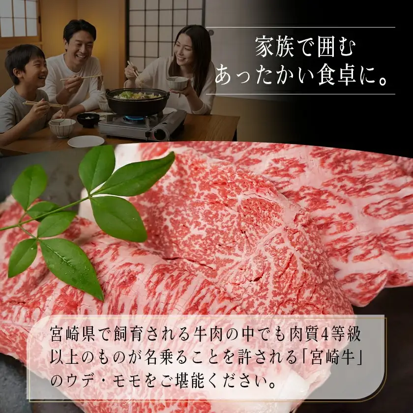 宮崎牛モモ・ウデ切り落とし1kg_〔16-25-014〕_(都城市) A4ランク以上 宮崎県産 黒毛和牛 モモ・ウデ切り落とし 500g×2パック もも肉 うで肉 牛赤身肉 小分けパックすき焼き 炒め物 牛丼