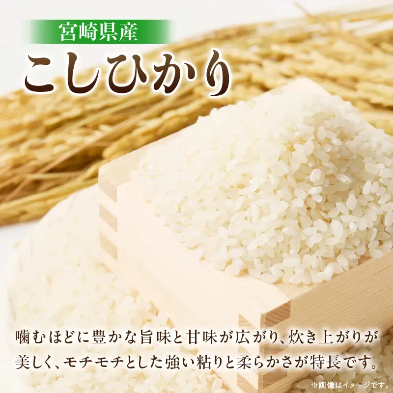 最短翌日発送 新米 コシヒカリ 令和8年産 5kg 2026年産 有洗米 日南市産_BBV11-26