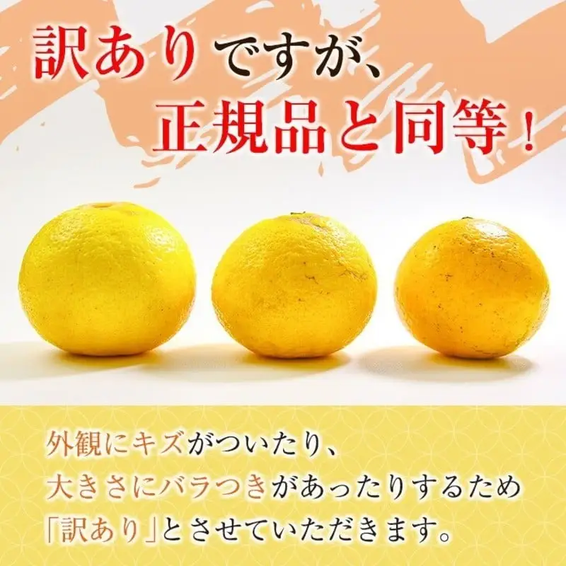 先行予約 訳あり みかん 宮浦産 日向夏 10kg 2027年 令和9年発送 フルーツ 果物 くだもの 柑橘_CD97-26