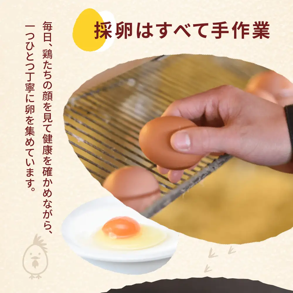 純国産鶏 さくらたまご 20個｜たまご