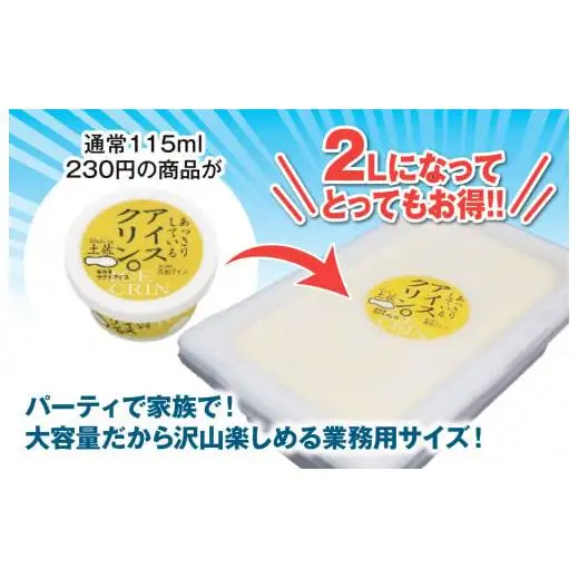 アイスクリーム業務用2L_菓子・スイーツ アイス・ジェラート _【ICE039】