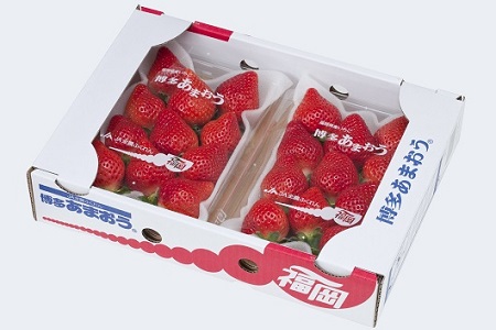 【2027年2月より順次発送】福岡県産あまおう 270g×4パック_ あまおう いちご 果物 フルーツ 〔Fi024〕