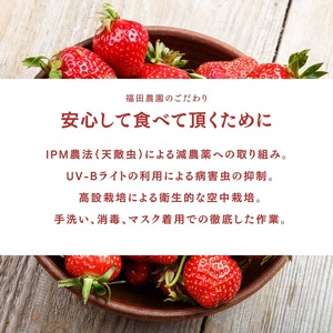 福田さんちのイチゴ(さぬきひめ) 2Lサイズ×4パック 1kg以上【配送不可：北海道、沖縄県、離島エリア】苺 農園直送 いちご採れたて直送