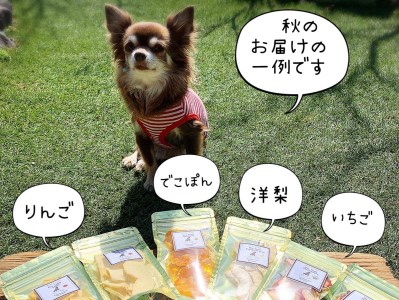 FB136_犬の無添加おやつ☆お砂糖不使用ドライフルーツ☆旬の果物６袋【定期便】全１２回