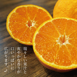 S110-001_熊本県天草産　肥の豊5kg　19～20玉〈先行受付〉
