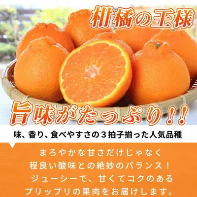 【2027年先行予約】高級ブランド 田村の 完熟紀州デコ(不知火) 15玉～28玉【でこぽん デコポン しらぬい 不知火 柑橘】_G7063