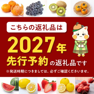 【2027年先行予約】 紀州和歌山ブランドいちご まりひめ 約280g×2P_G7348