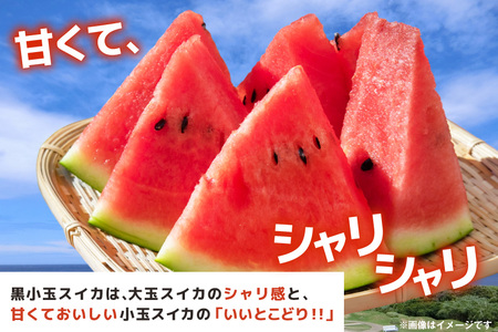 DE275 【令和9年度出荷分】 黒小玉スイカ「ひとりじめBonBon」 5kg(1.7kg以上×2~3玉) ～名水百選の里 島原産～ ◎