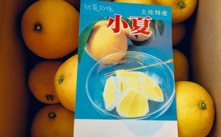 羽賀農園の小夏 5kg（家庭用） 小夏