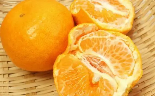 【厳選・濃厚】 紀州 有田産 の はるみ 約 4kg (サイズおまかせ)  ※2027年1月下旬～2月中旬頃より順次発送【tec820B】
