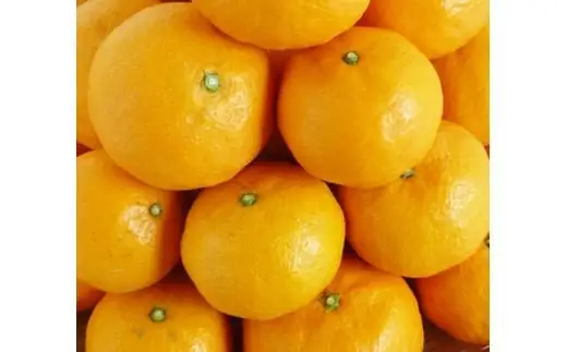 初夏の みかん なつみ 5kg / 柑橘 甘い 果物 和歌山 ※2027年4月中旬頃〜4月下旬頃発送予定 【uot501-2】