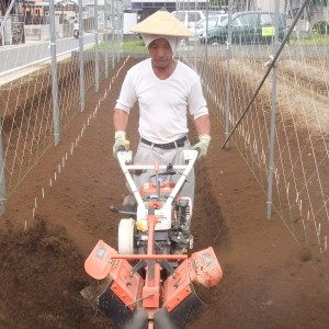 自然薯（2本 約1.2kg） | 1.2キロ ご飯のお供 野菜 とろろ 栽培 健康 栄養 山芋 山の芋 国産 産地直送 農家直送 贈答 贈り物 プレゼント 茨城県 古河市 荒井農産 直送 農家直送 産地直送_AC01