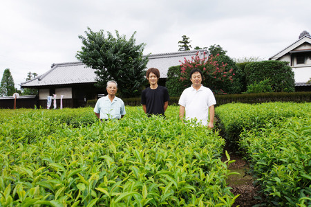 熟成栗で作った自家製「栗きんとん」８個＆古河のさしま茶「太郎兵衛」120ｇ×１袋 _BF07
